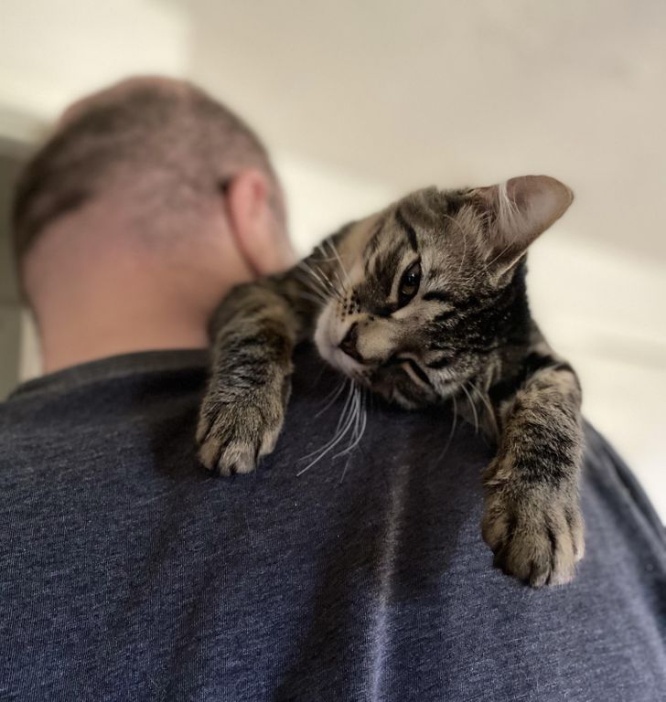 d62cee51daaadb7360db073ec0 d62cee51daaadb7360db073ec0