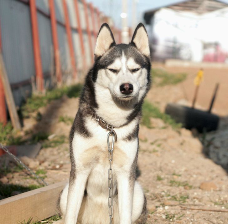 d633f054059f6cfb184246f129