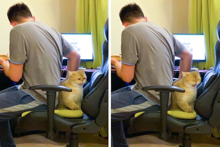 d63bcd5145bc0b674f4415035a