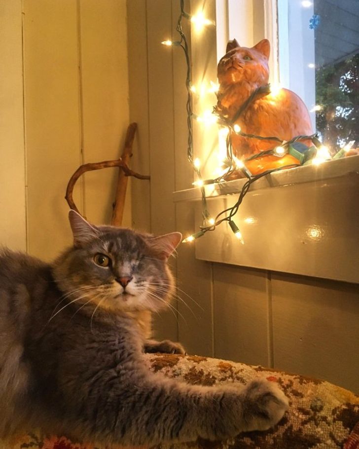 d63cd659749647835853663734