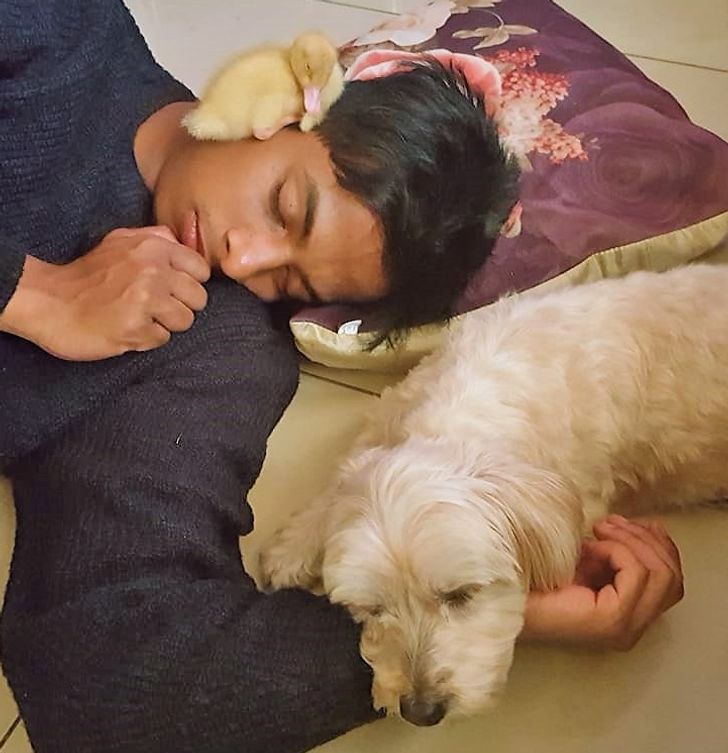 d63d7856188c64e6a2b59c7355