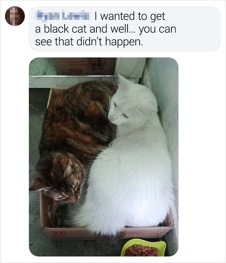 d640b25c24a8b7f0d4f95f55d9