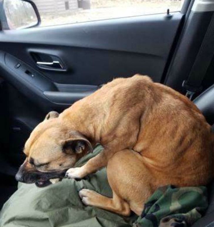 d64aa25438b7a188dd2732b0e1