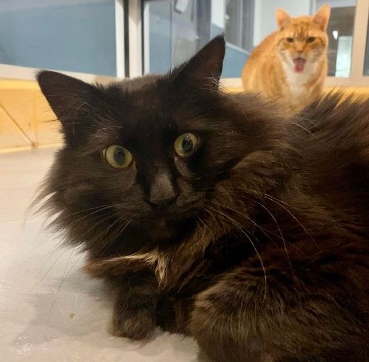 d64be2504bbee9d55121b3dc46