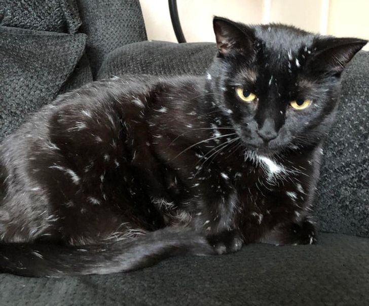 d64f4753a9b228a12922a8f613