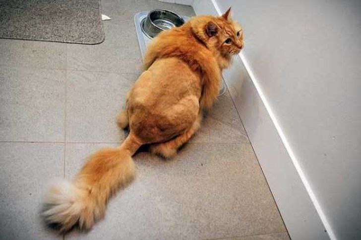 d651d35858811e948151d199ac