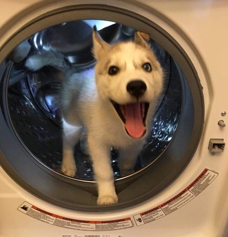 d655455101803ee0c9d6bdd48c