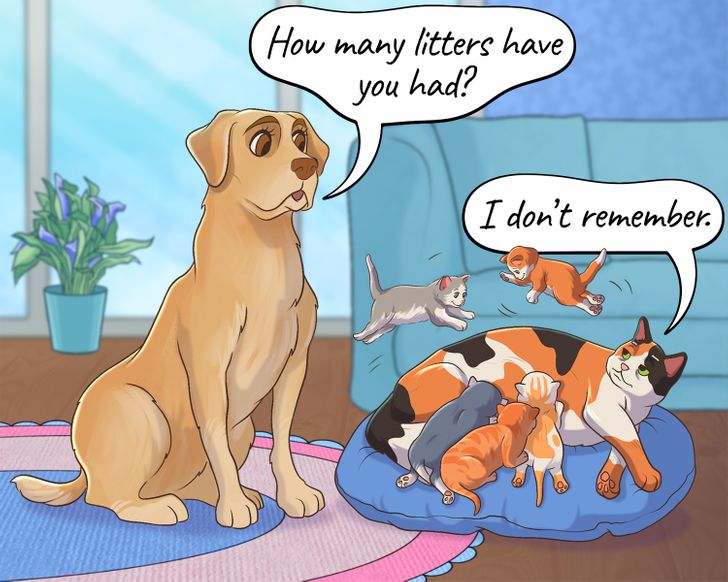 d657fd54a78fd857826ad28d80