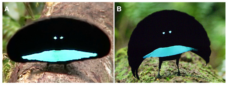 d65889587486f06e2d8289bdd4