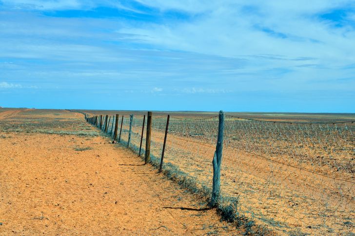 d65cb952e9b6b3d1f86ae1e72a