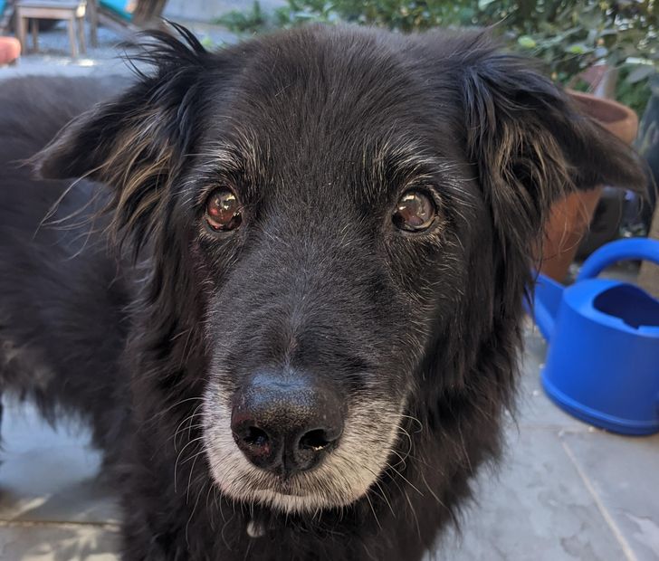 d65d8c530883499c8a4b35832f