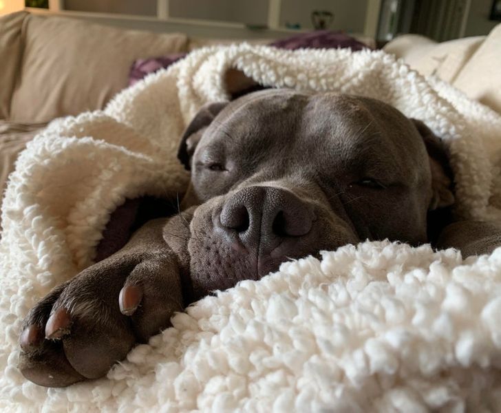 d6637f51c19a6bf5955cd643f9