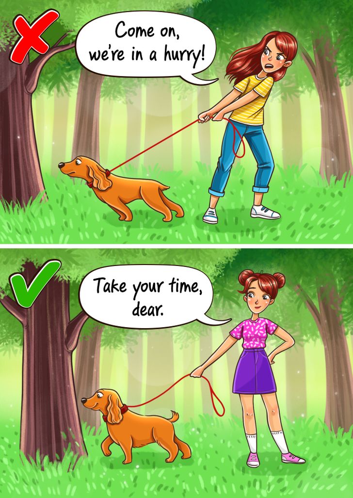 d671c050c09907e4be648c11ef