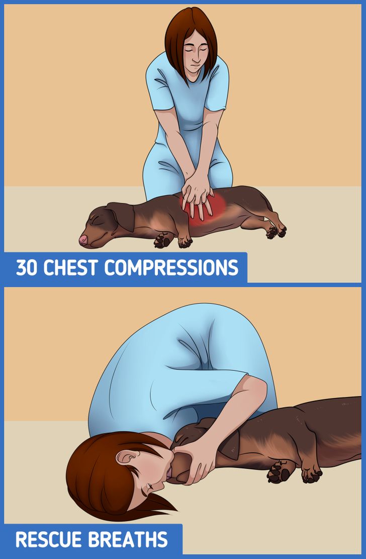 d67a8e5e7ab2846b7da358e9b9