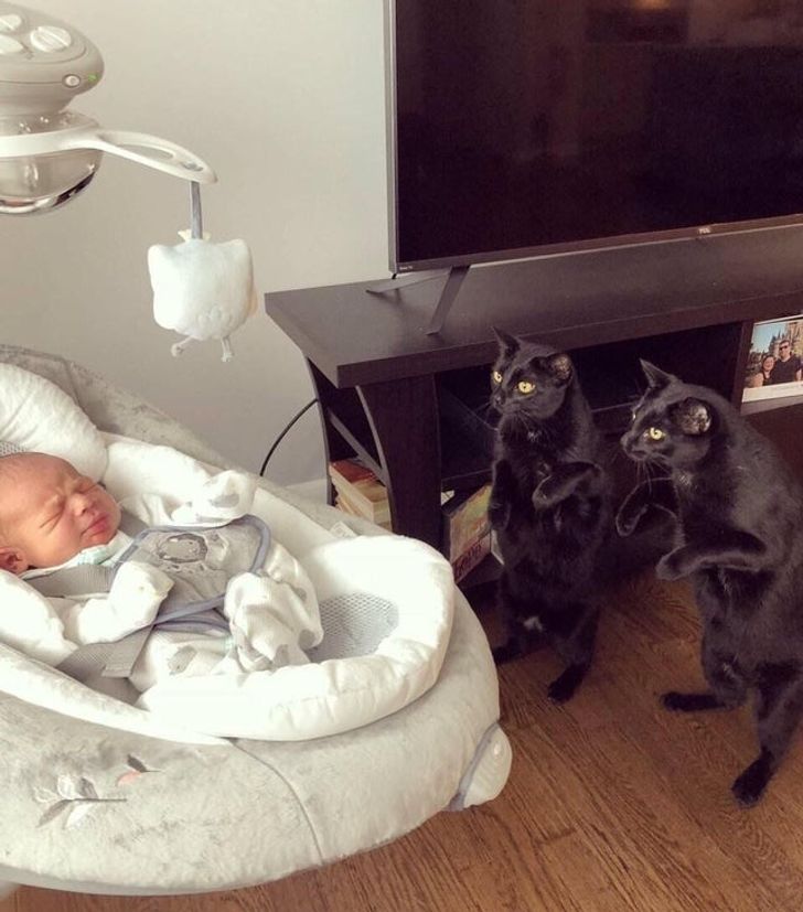 d67f935bef948e2deb13c4e3c3