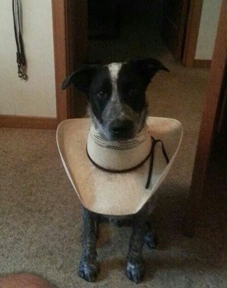 d6809652688d4971dfccb099f9