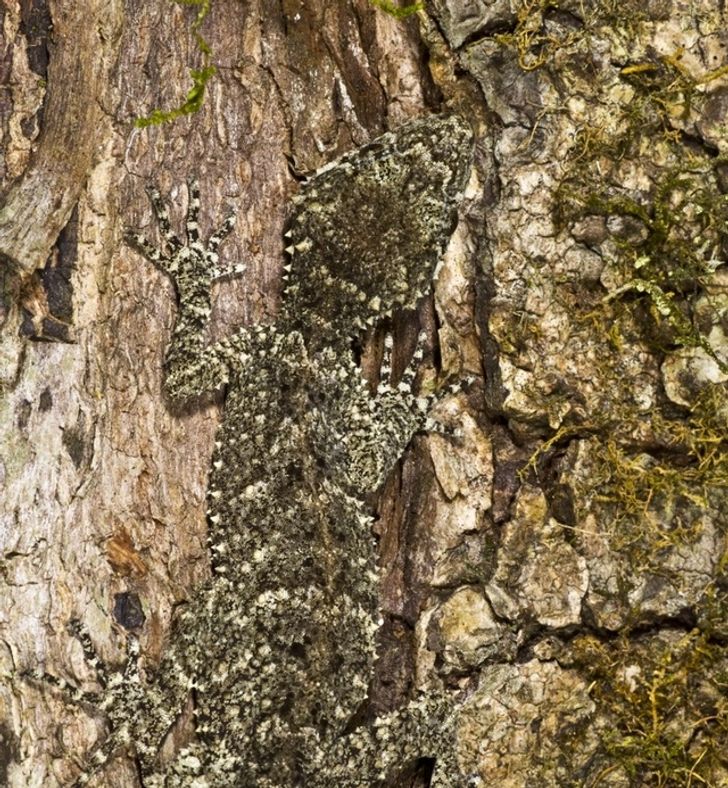 d68812565e88b30dbdd1d8c88b