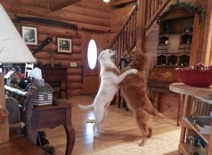 d689e05d6abdad7c28cfd542e8