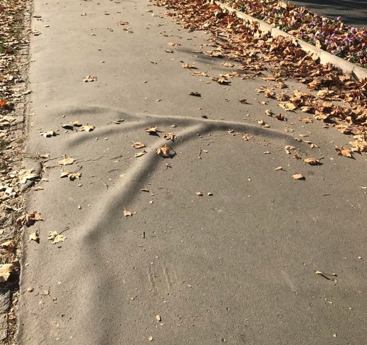 d689f15e81a8632e600b0454fb