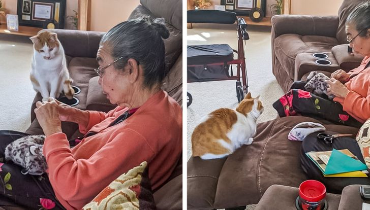 d689f45ce8a2d54b51c2717276