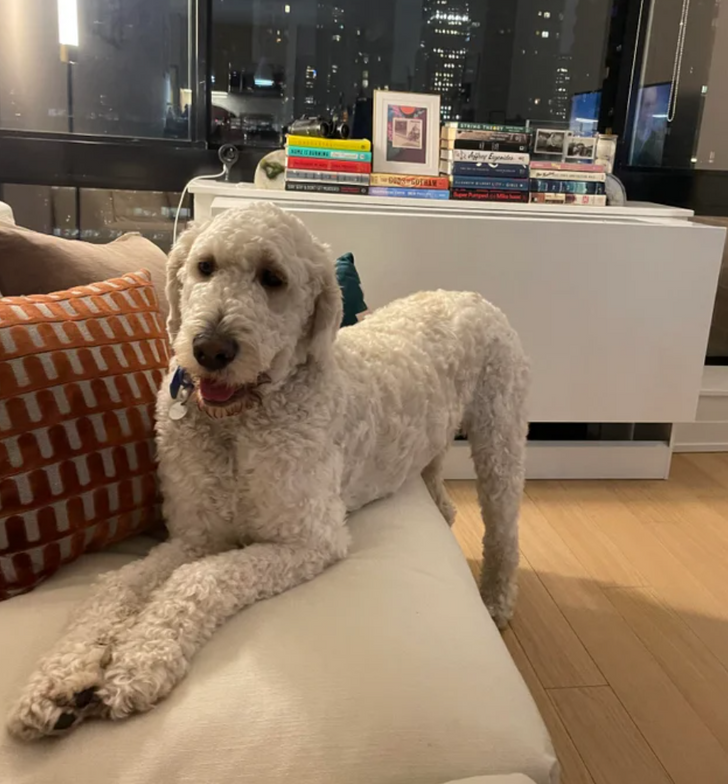 d690db5b6e9a24b86d80111446