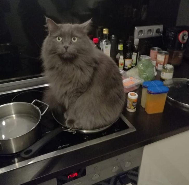 d6932757d8b1beb94f7e1f2147