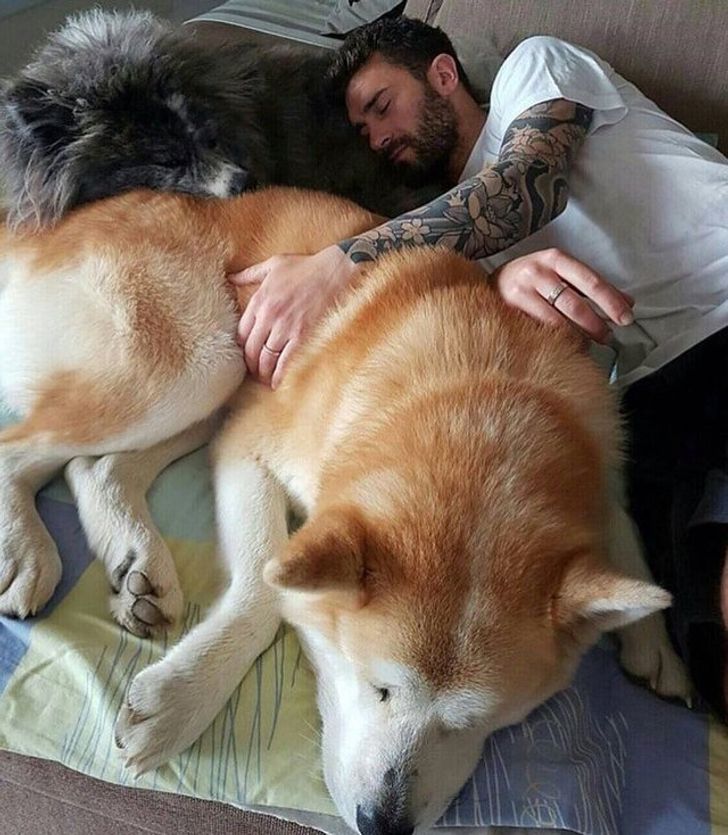 d69ad8549bbefdc7c54f434588