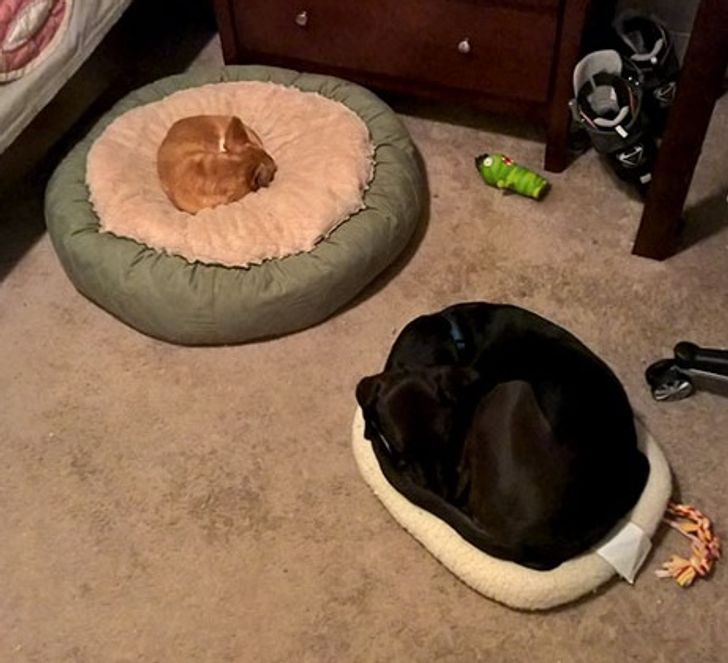 d69d8d5ec8897d0d03016186aa