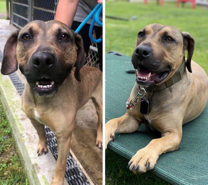 d69da852618809ea7d2d009b6f