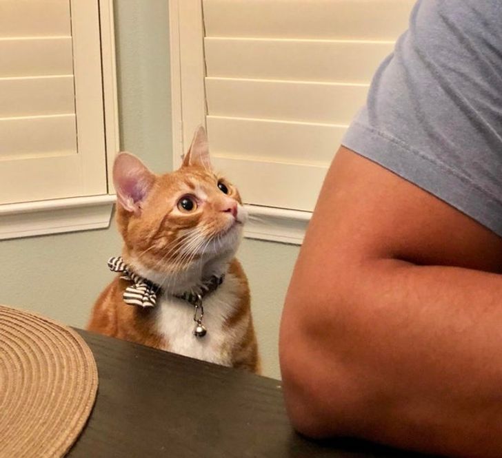 d6a3a250be933fa86759e12613