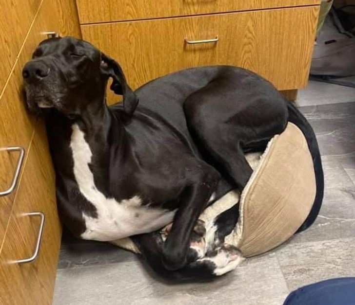 d6aad35044934af17d652a61e7 d6aad35044934af17d652a61e7