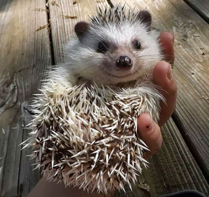 d6aca553699c603bfc95406389