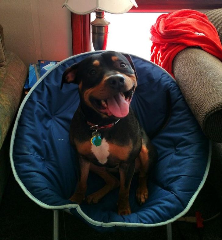 d6ae945ad08588ba090375a14b d6ae945ad08588ba090375a14b