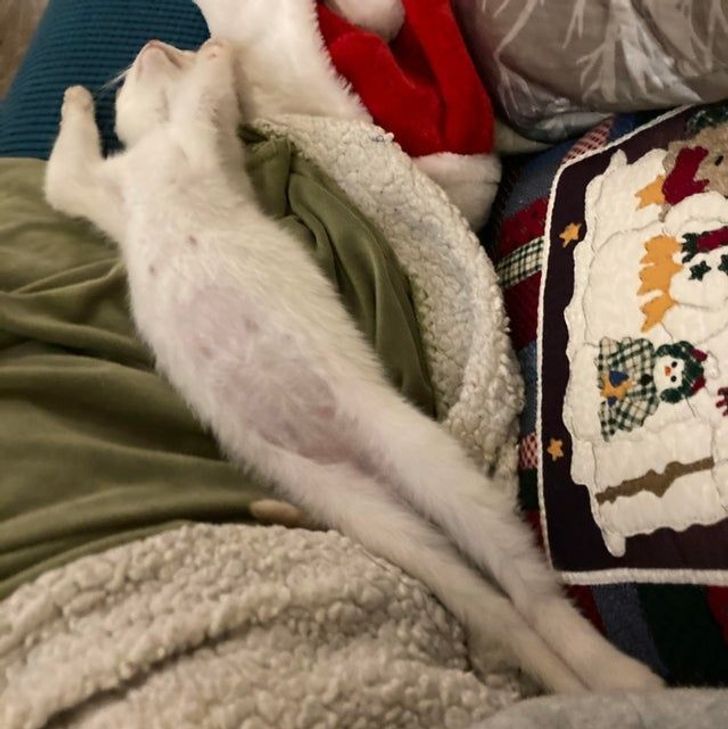 d6b13551b19a1e9ceb062a18b0