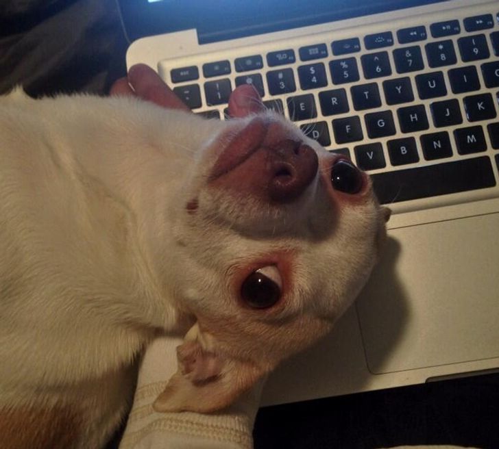 d6b93750b088665cf389f431de