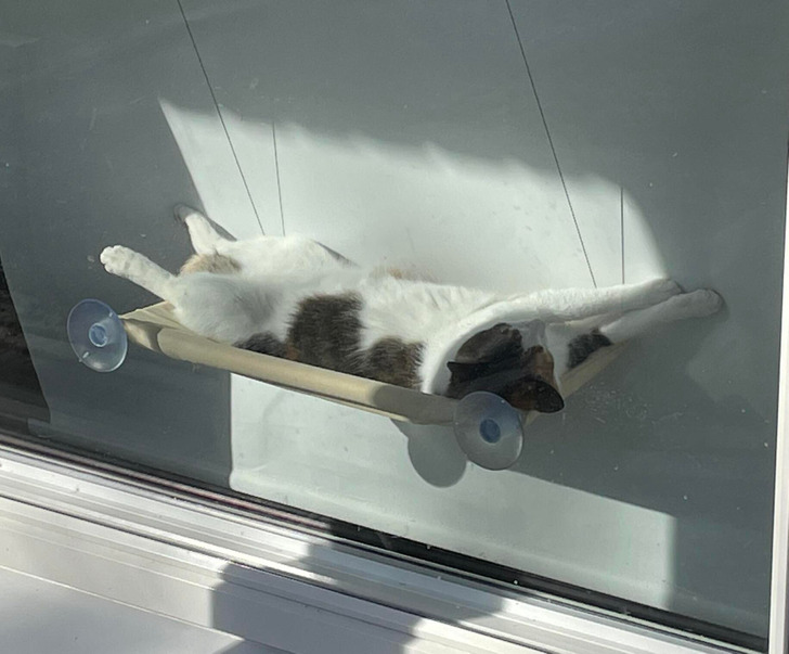 d6c3d85202a2e6b2e531677dfc d6c3d85202a2e6b2e531677dfc