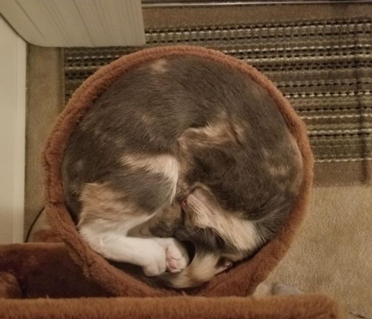 d6c4ed541f8852b2b3a8d38415