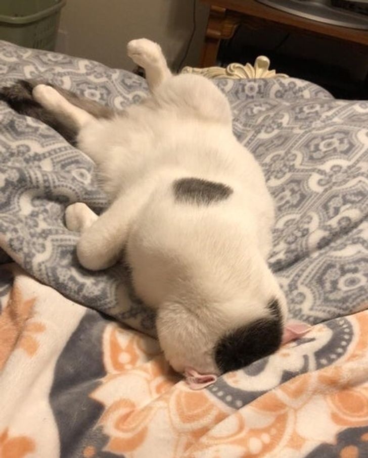 d6ce815b08ad8020f58b35d6a1