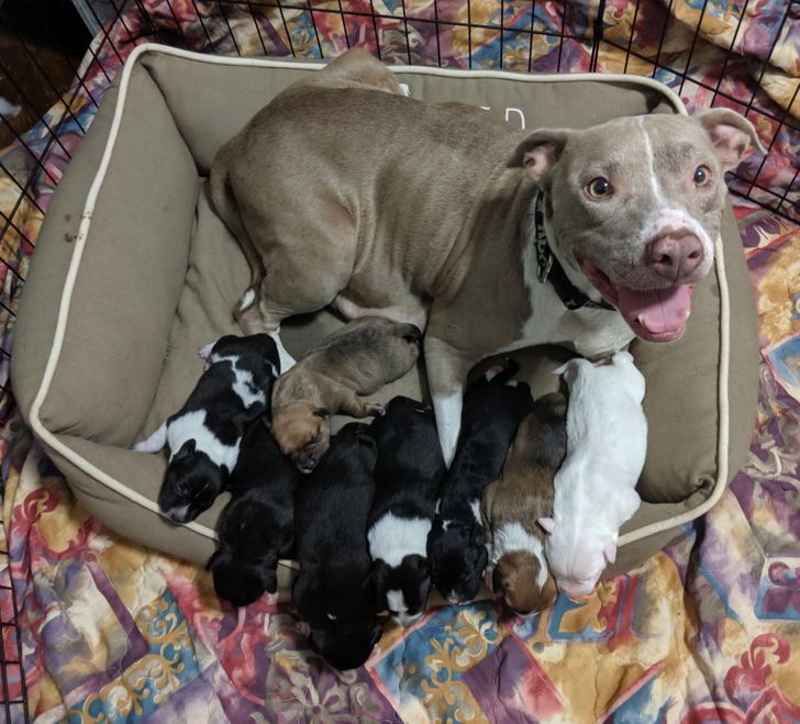 d6d52d500885c15098f51c0895