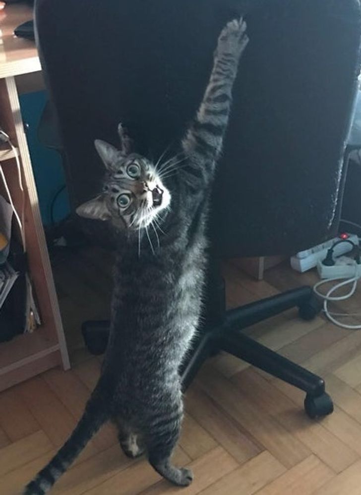 d6de8d5da7b6e0e446fca600e3