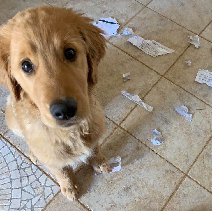 d6e1ba5ffeb1ce5a139668bcc6