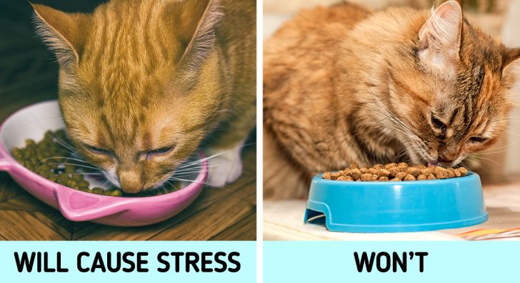 d6e4715832b0cc31e064fe1c9a