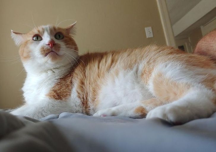 d6ec3a5459b16e9af56986dd2e