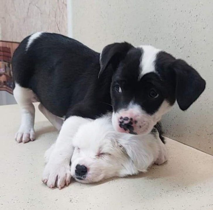 d6f51b54e6aa2d0cae199104b2