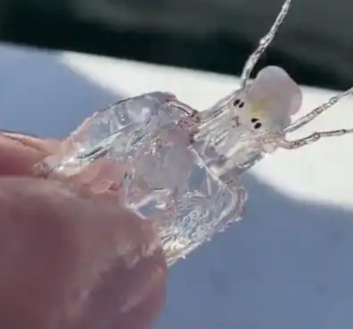 d6fbf65c3584dcbe64b077cb9f