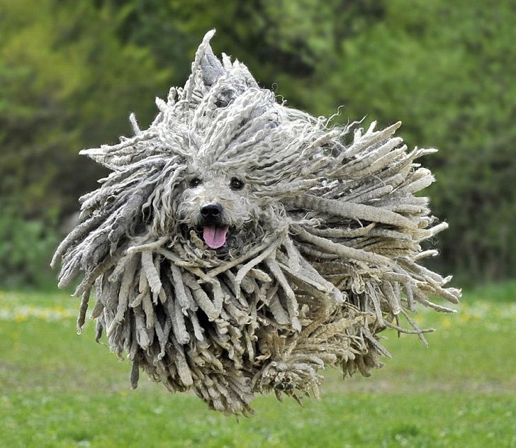 d6fe4b5e6abcc3ff260cfb236b