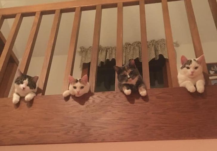 d700705a1696a2ed169b28b233