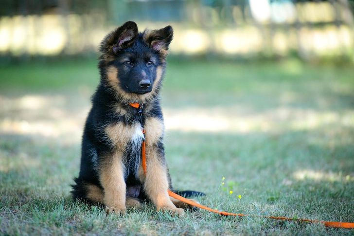 d7083a585d81f656c7b7c1127d