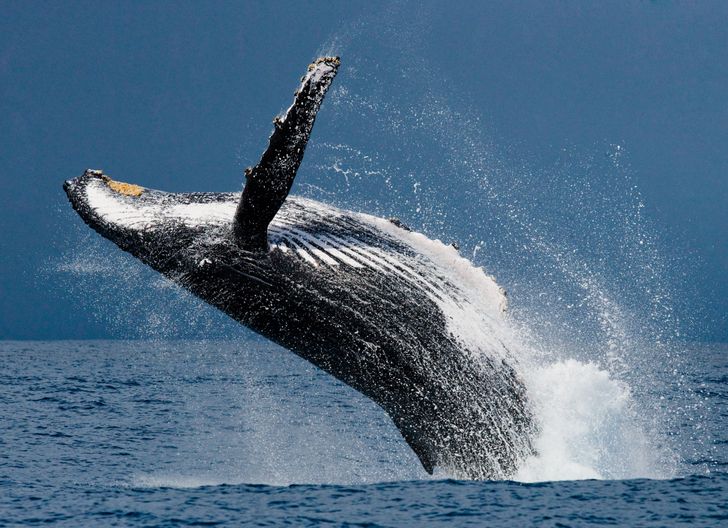 d70c9b50cf918f72e937b852c1