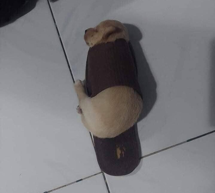 d70e97593bb145c292787bbc31